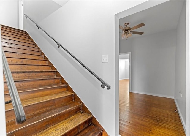 staircase featuring hardwood / wood-style flooring and ceiling fan