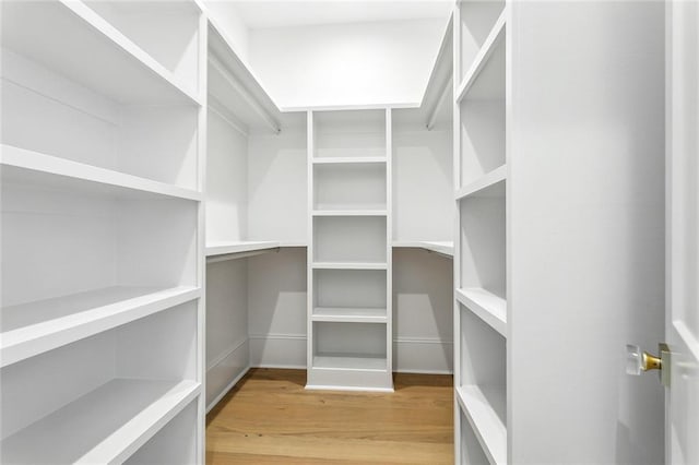 spacious closet with wood-type flooring