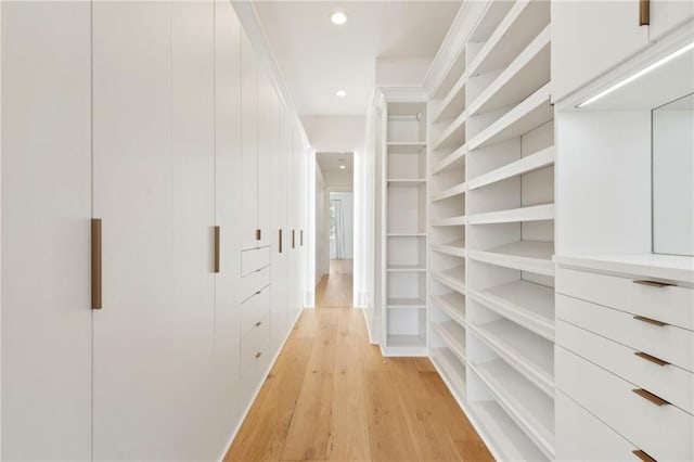 spacious closet with light hardwood / wood-style floors