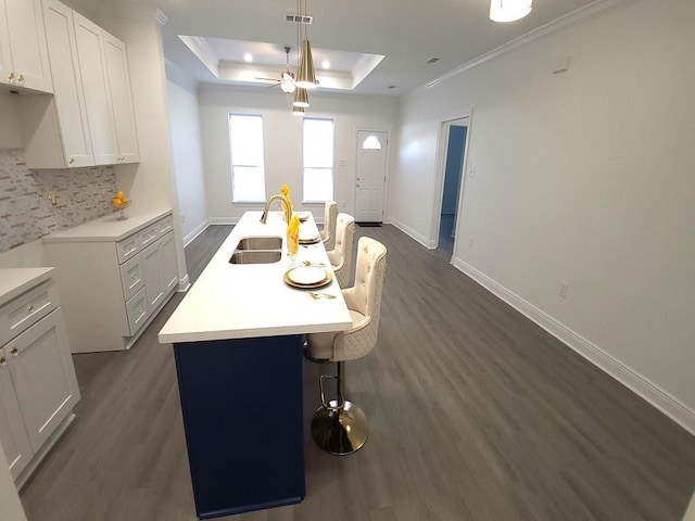 kitchen featuring dark wood-type flooring, sink, a raised ceiling, an island with sink, and backsplash