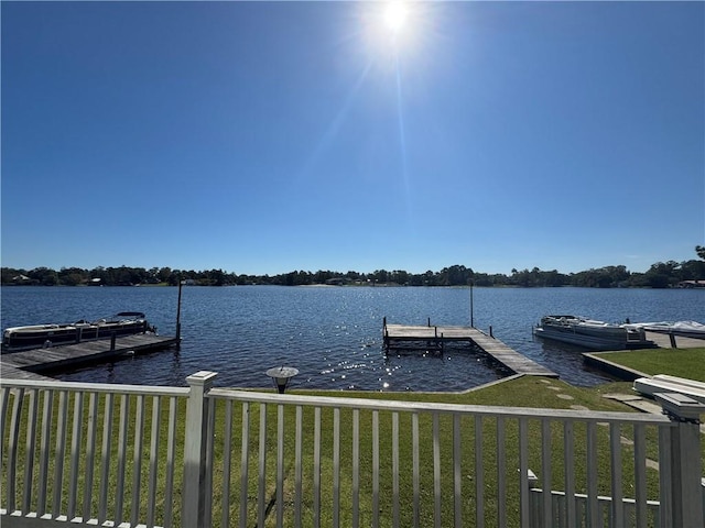 dock area with a water view