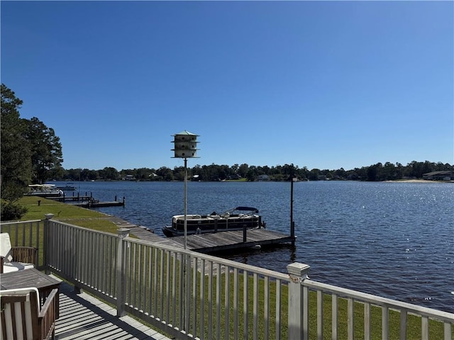 dock area with a water view