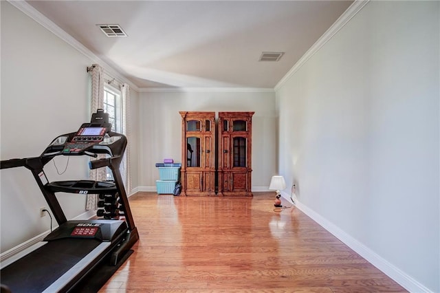 exercise area featuring crown molding and light hardwood / wood-style flooring