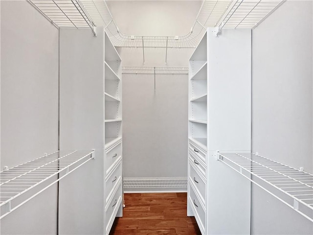 walk in closet with dark hardwood / wood-style flooring