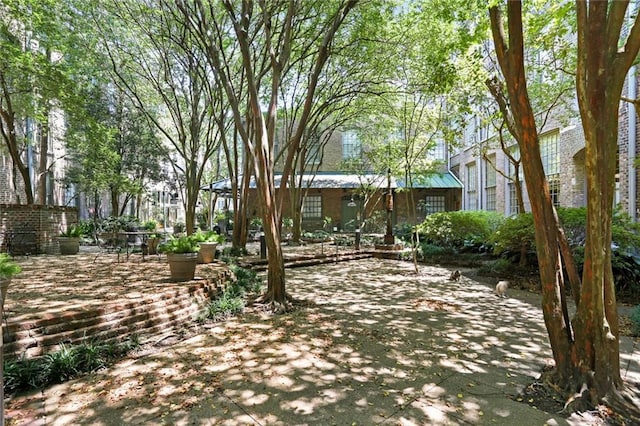 view of yard with a patio area