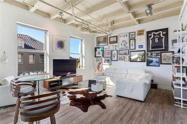 835 Julia St Unit 18, New Orleans, LA 70113 - living room featuring wood finished floors, beam ceiling, and coffered ceiling