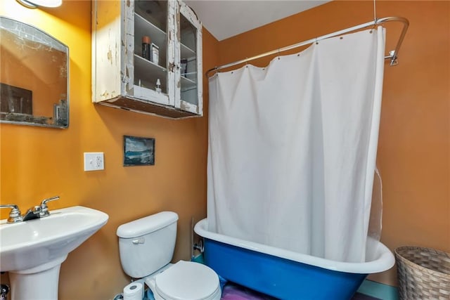 bathroom with sink, curtained shower, and toilet