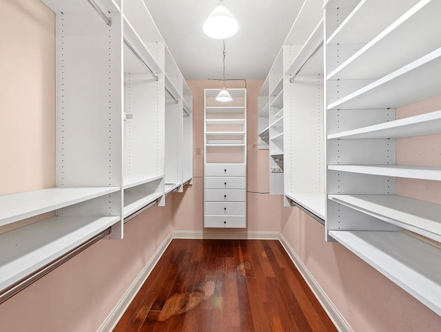 walk in closet featuring dark hardwood / wood-style flooring