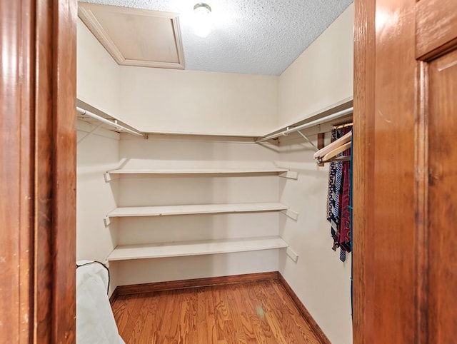 spacious closet with light wood-type flooring