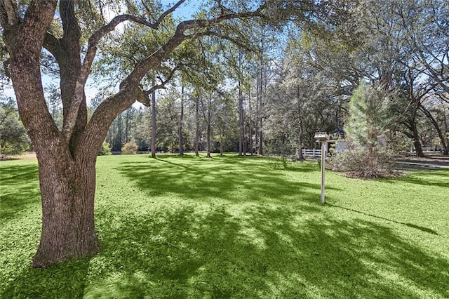 view of community with a yard