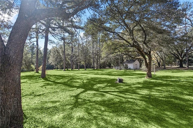 view of community featuring a lawn