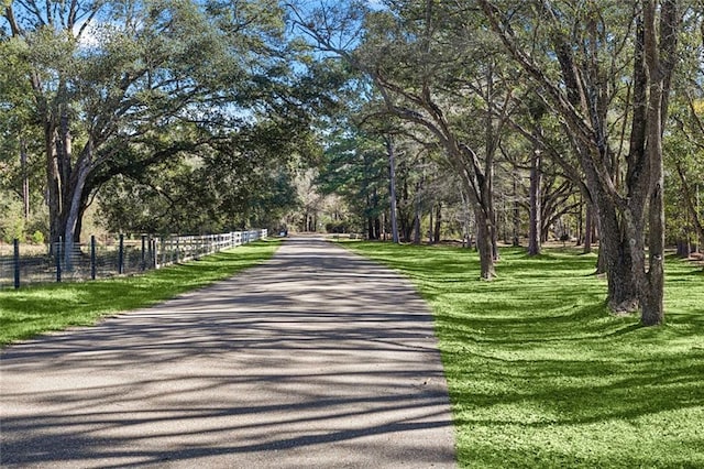 view of community with a yard