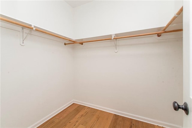 spacious closet featuring wood-type flooring