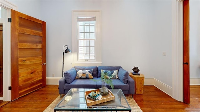 living room with hardwood / wood-style floors