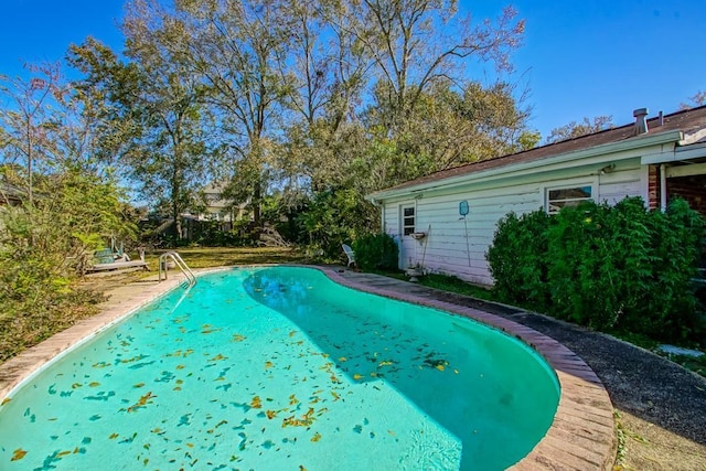 view of swimming pool