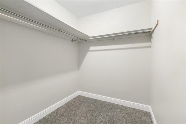 walk in closet featuring carpet flooring