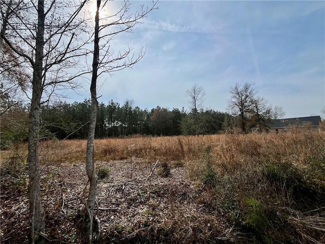 31050 Hubert Stilley Rd, Independence LA, 70443 land for sale