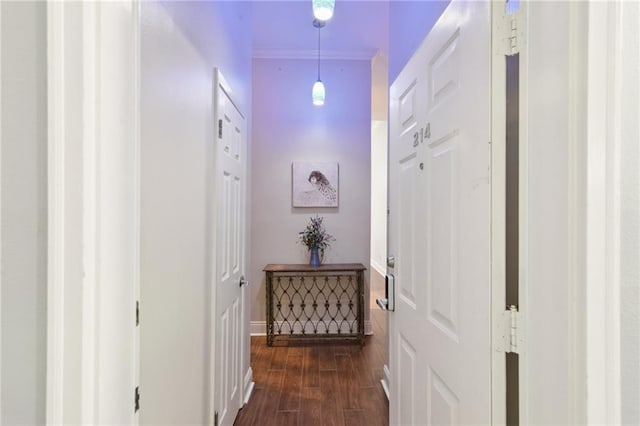 corridor with ornamental molding and dark hardwood / wood-style floors