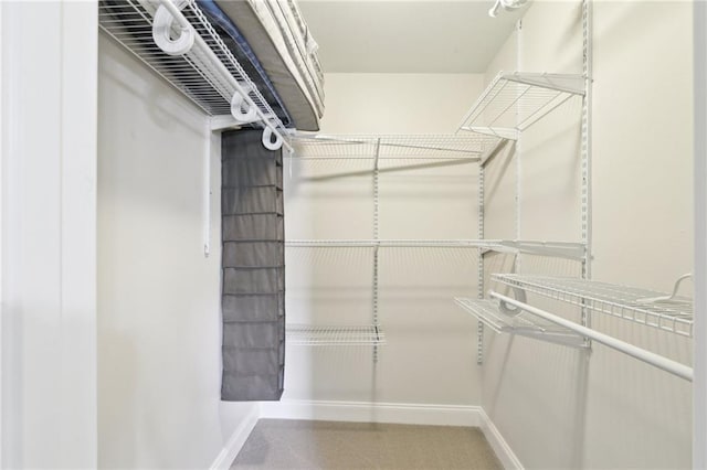 view of walk in closet