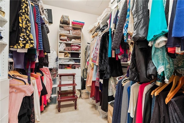 walk in closet with light colored carpet