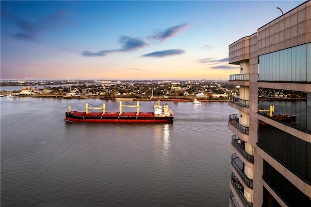 dock area with a water view