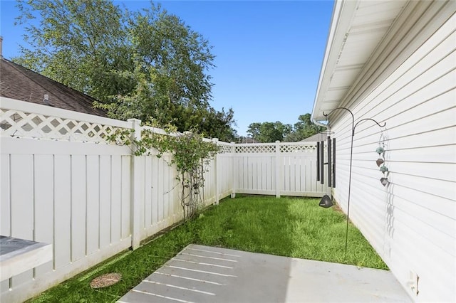 view of yard featuring a patio