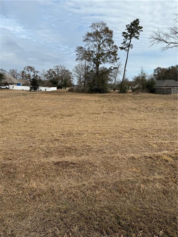 TBD Caitlyns Way, Loranger LA, 70446 land for sale