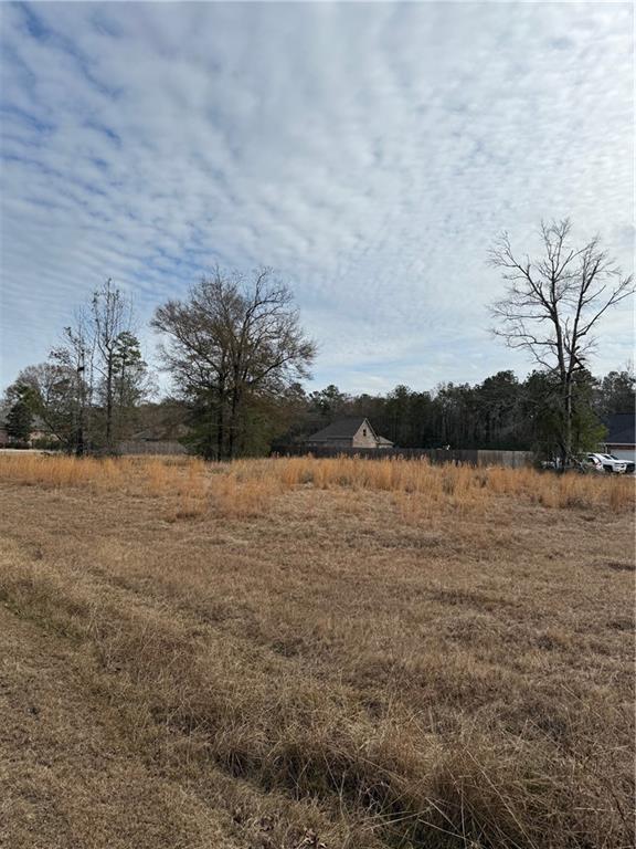 TBD Loranger Trace, Loranger LA, 70446 land for sale