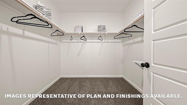 walk in closet with dark carpet