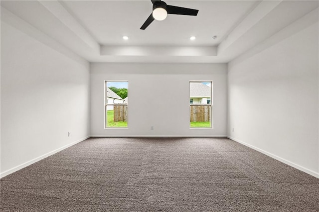 empty room featuring carpet floors, a tray ceiling, and plenty of natural light