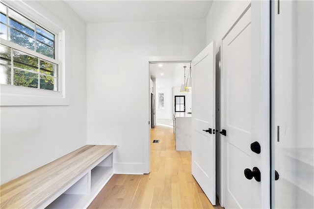 interior space with light wood-type flooring