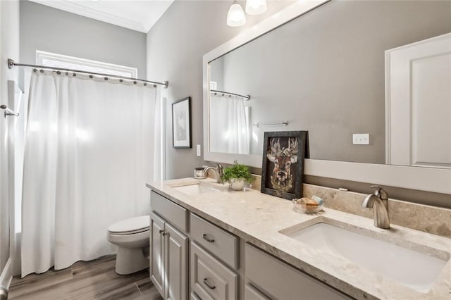 bathroom with vanity, hardwood / wood-style flooring, ornamental molding, and toilet