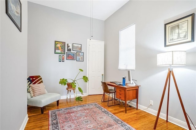 sitting room with hardwood / wood-style flooring