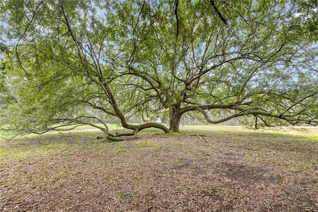 12119 Acey Allen Rd, Independence, LA 70443 - exterior space
