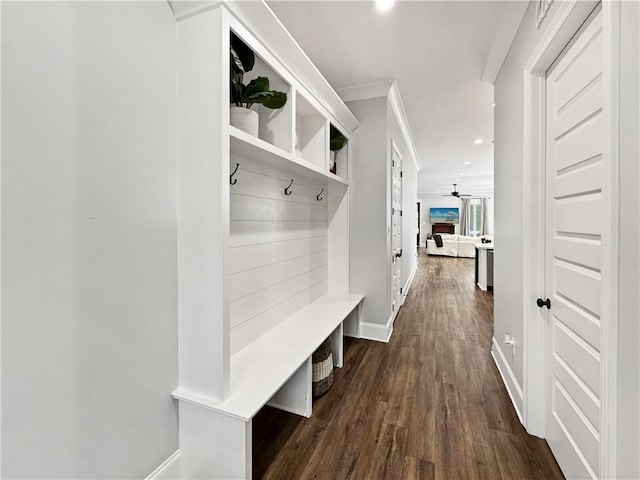 mudroom with crown molding, dark hardwood / wood-style floors, and ceiling fan