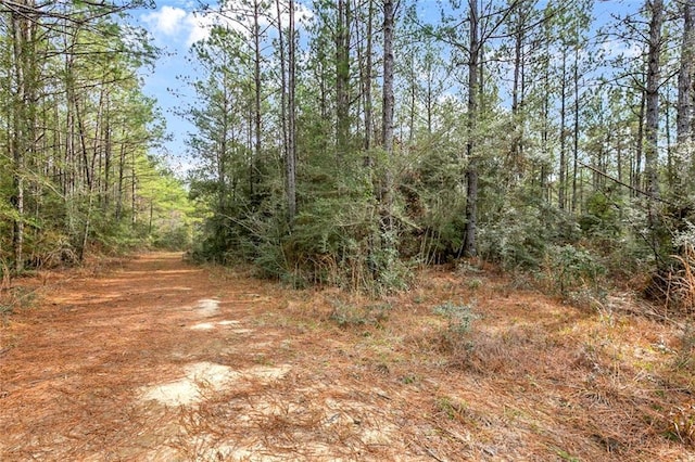 LOT30 Erin Ln, Franklinton LA, 70438 land for sale