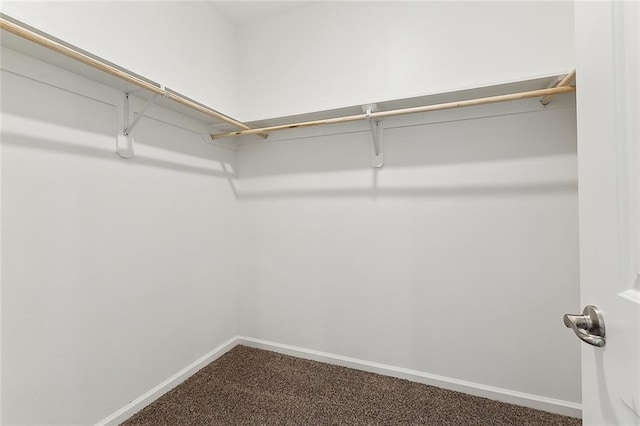 spacious closet with carpet flooring