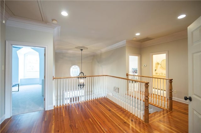 hallway featuring ornamental molding, a wealth of natural light, and hardwood / wood-style floors