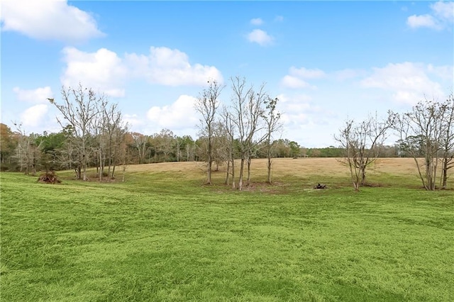 view of yard with a rural view