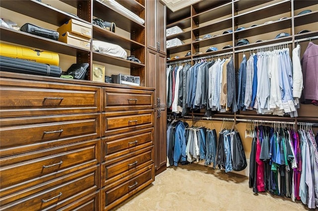 spacious closet featuring light colored carpet