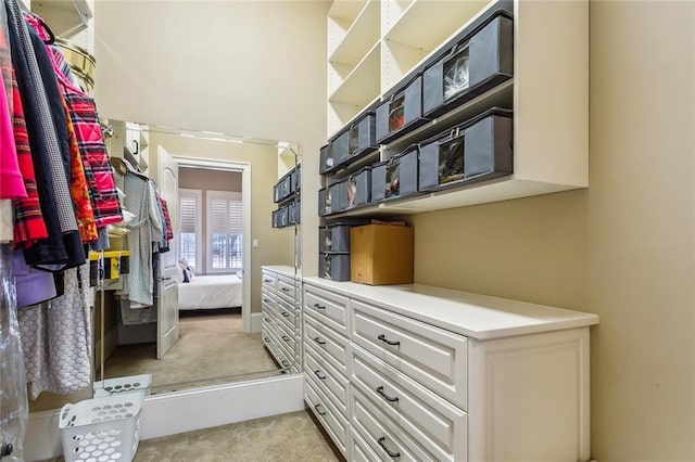 spacious closet featuring light colored carpet