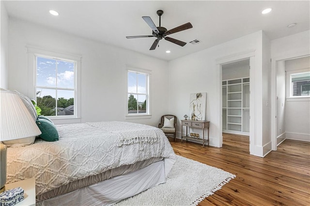 bedroom featuring a closet, dark hardwood / wood-style floors, ceiling fan, and a spacious closet