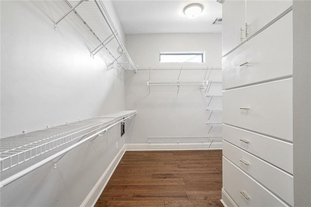 spacious closet featuring dark hardwood / wood-style floors