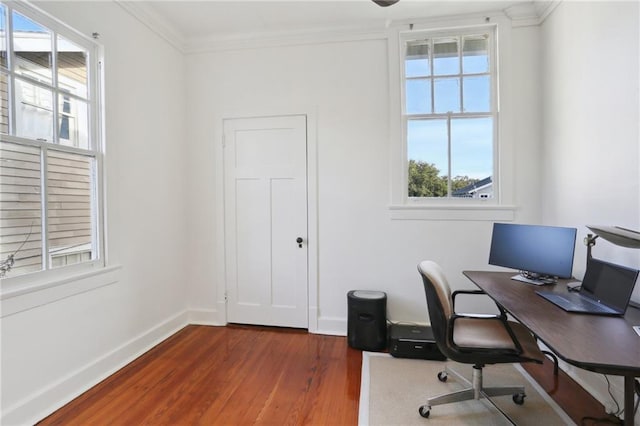 office space featuring crown molding and dark hardwood / wood-style flooring