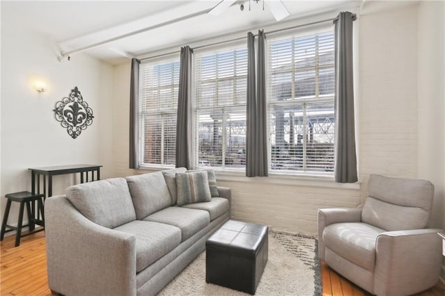 living room with ceiling fan, a healthy amount of sunlight, and wood-type flooring