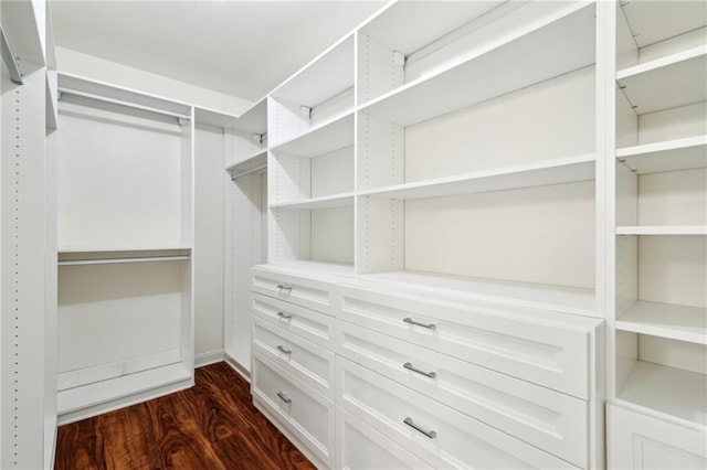 spacious closet featuring dark hardwood / wood-style flooring