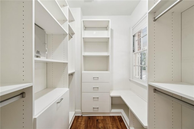 spacious closet with dark hardwood / wood-style flooring