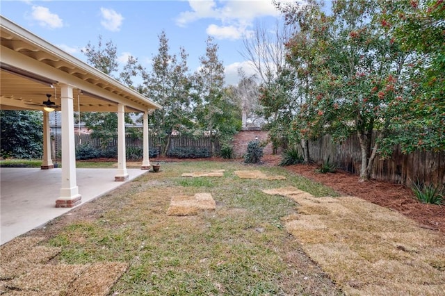 view of yard featuring a patio and ceiling fan