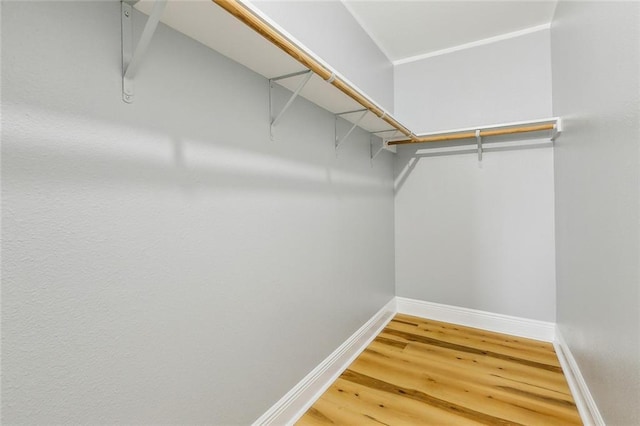 walk in closet with hardwood / wood-style flooring