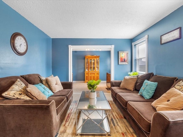 living room with a textured ceiling